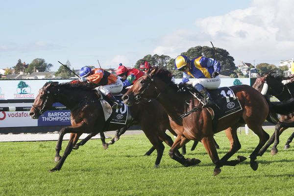 Clotworthy enjoying Queensland escape