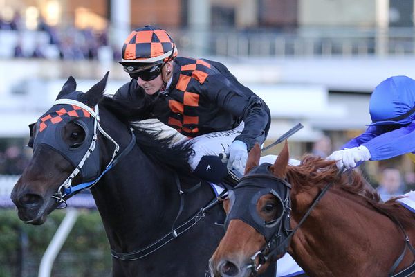 Queensland Derby on the cards for Horrifying