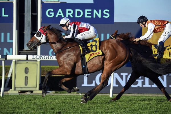 Avdulla steers Kirwan’s Lane to Rosehill win