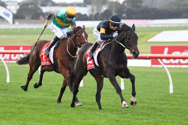 Kurabui back on track after heart problems