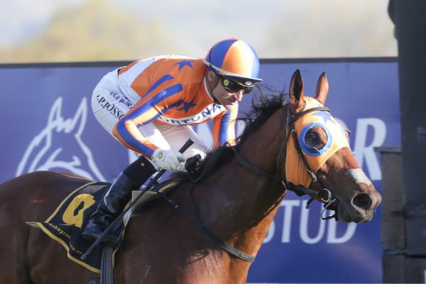 Doomben Cup swansong for Melody Belle