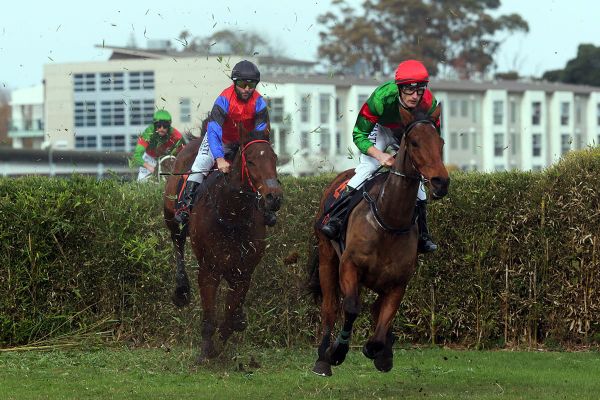 Mesmerize too strong in feature steeplechase