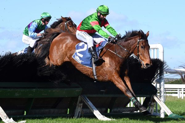 Northern spoils beckon Connors pair