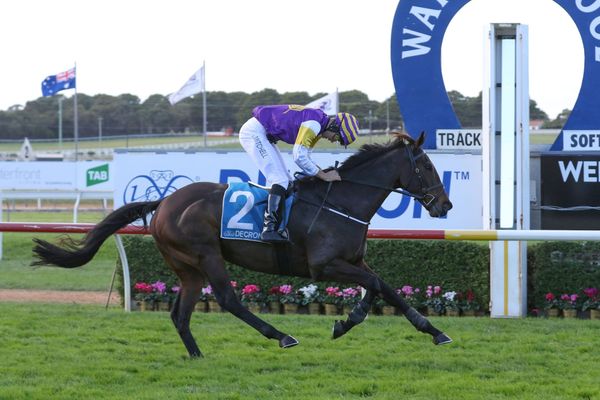 Former flat jockey wins at first jumps ride