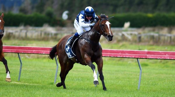 Miss Ricky Bobby back to winning form at Woodville