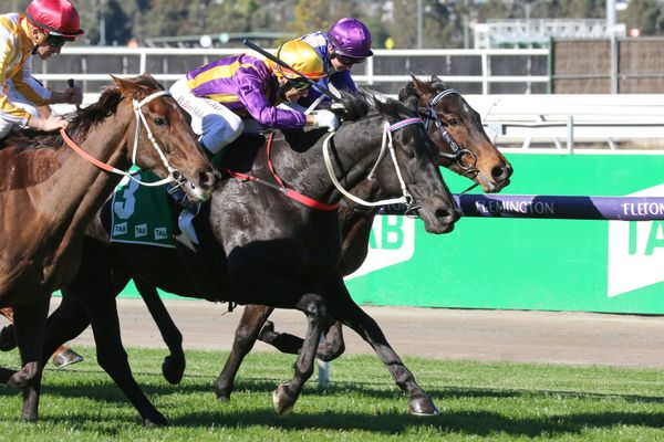 Mongolian Marshal scores at Flemington