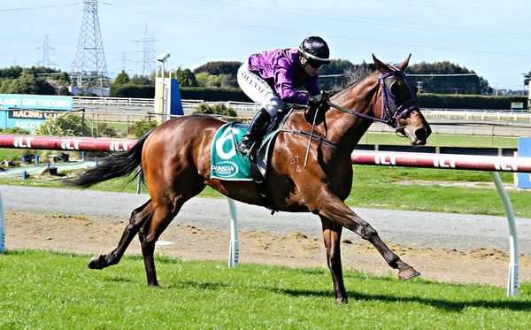 Picture Me Rollin looking to shed bridesmaid tag