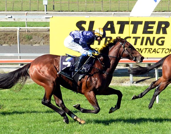 No slowing Mustang down