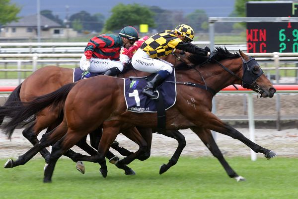 Guineas an option for Pike colt