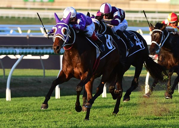 Sweynesse filly comes up Roses at Doomben