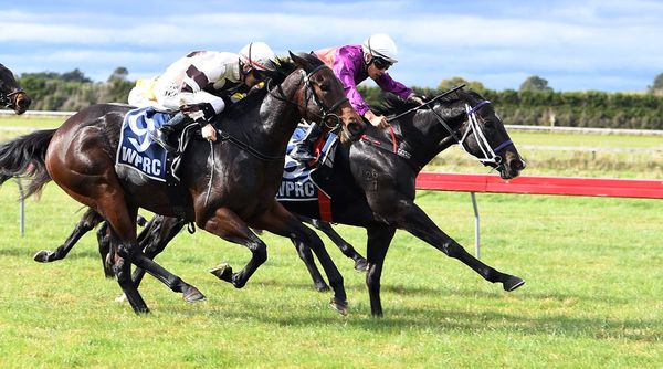 Latta trains 1000th New Zealand winner
