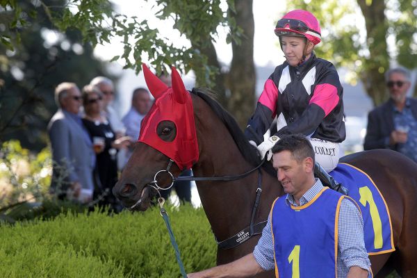 Puntura books trip to Brisbane with Te Rapa victory