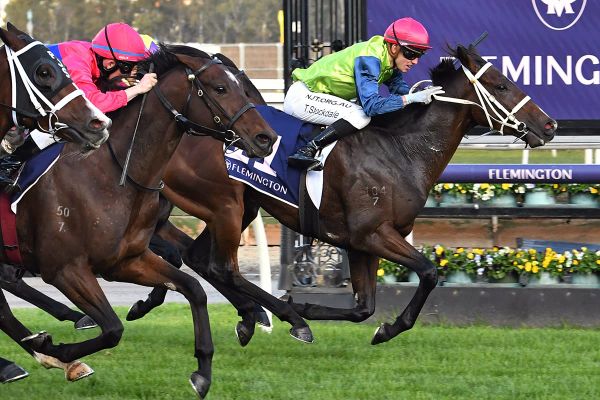 Roca to HK, youngsters to step up