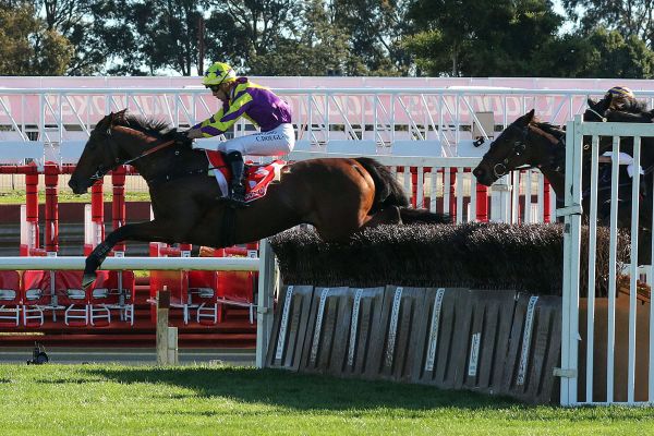 Riding High wins Australian Steeplechase