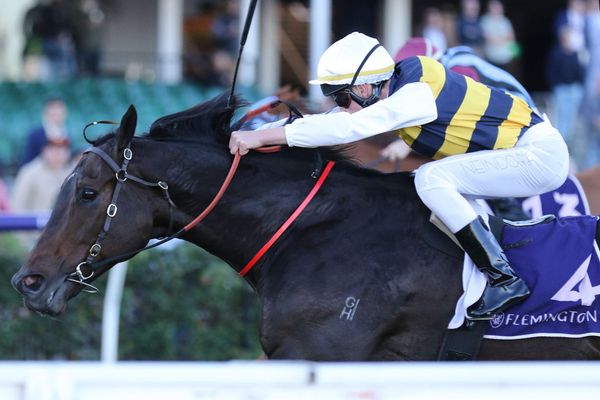 Romancer scores knock-out blow in Straight Six