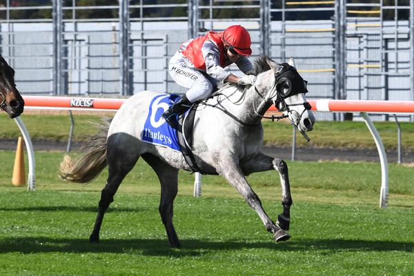 Trentham win a tonic for Rainford