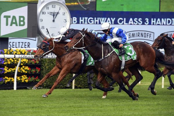 Kiwi imports show plenty of Swagger at Randwick