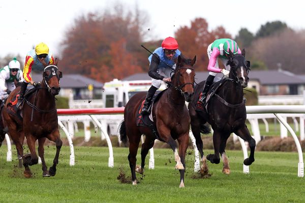 Promising filly to step up at Te Rapa