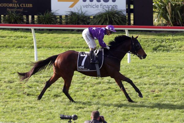 The Good Fight scores knockout in Rotorua Cup