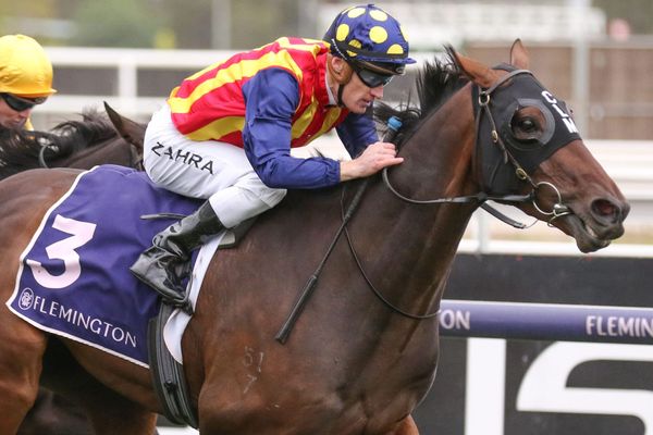 Through Irish Eyes ready for Flemington trip