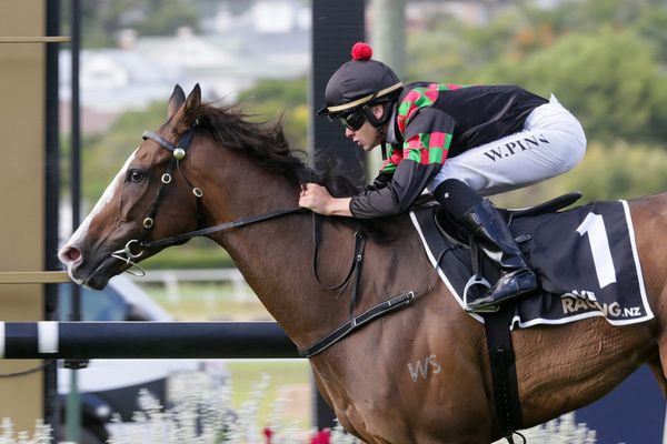 Tiptronic to spell in Queensland