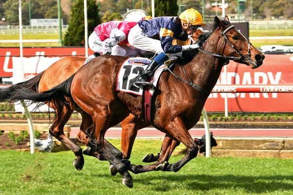 Stradbroke likely for Tofane