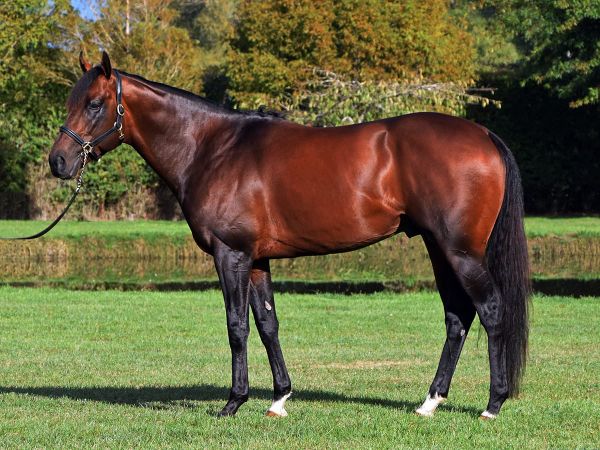 War Decree fee unchanged