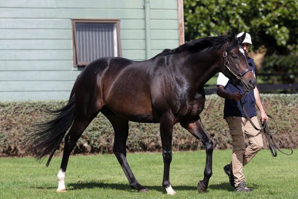 Highview Returns to Boutique Operation