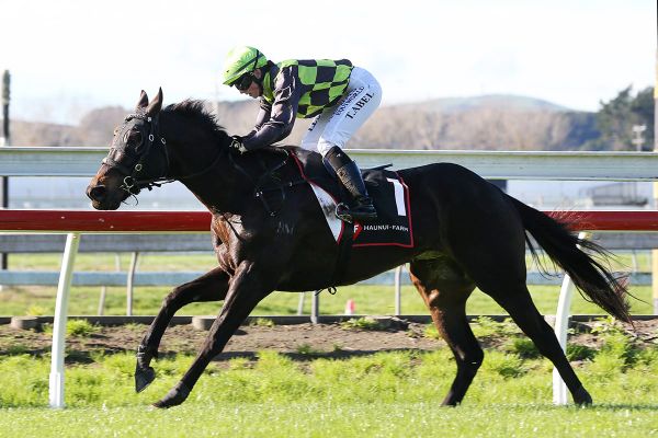 Abel makes winning return