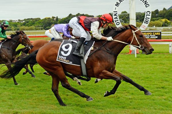 Otaki meeting to continue under COVID-19 measures