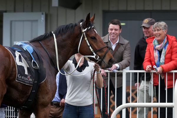 Bankers Choice caps top week for Waikato couple