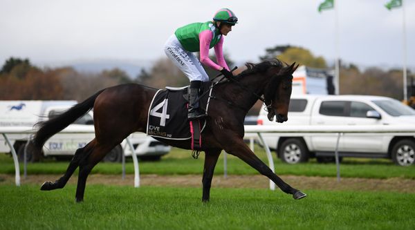 Bambry filly primed for Ryder tilt