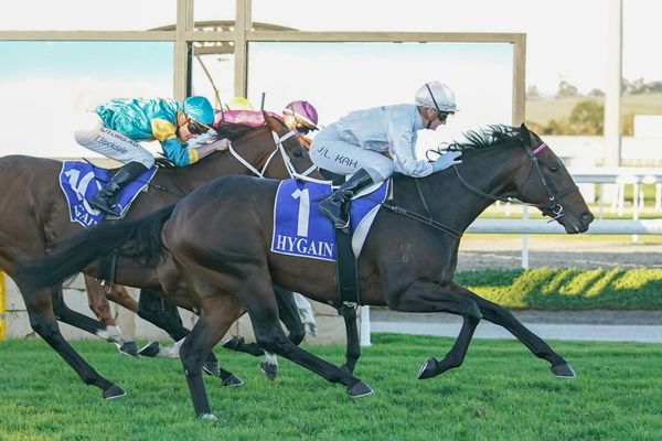 Bermadez after hat-trick at Sandown