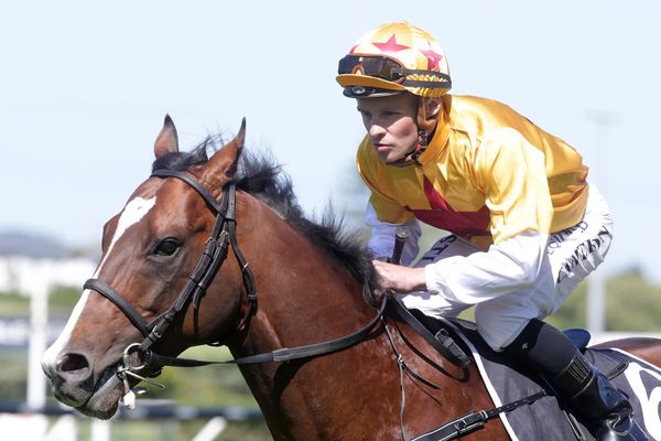 Cameron keen to return to the saddle