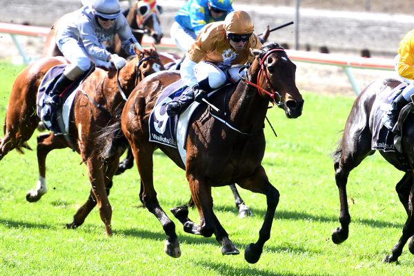 Gilt-edged opportunity for in-form mare