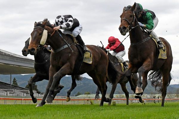 Sharrock confident with Trentham duo