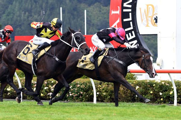 Season finale for Coventina Bay