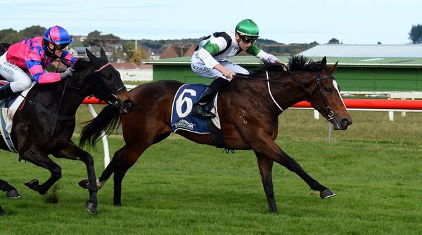 Pike stable strikes at Whanganui