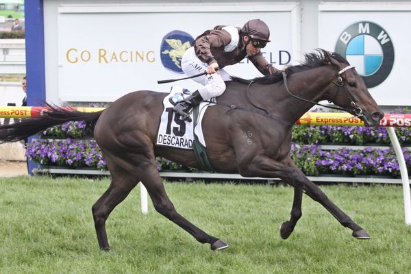 Waterhouse to reactivate interest in New Zealand tried horse market