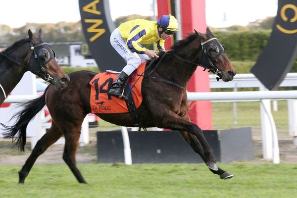 Wexford runners in Divine form ahead of Hastings