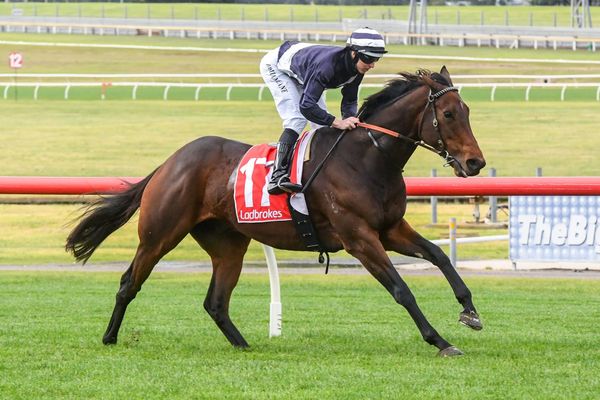 Falls produces front-running win