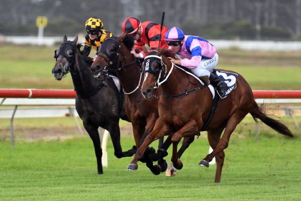 Te Rapa focus for in-form Marsh stable