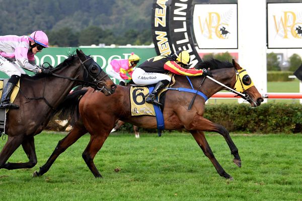 Stakes targets for Didham pair