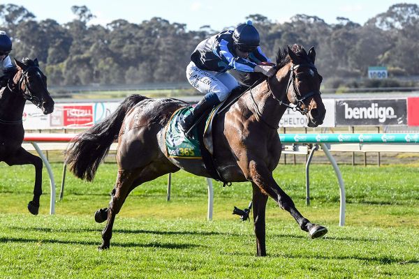 Flying Agent on Thackeray case