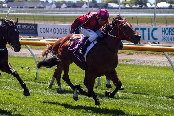 Rae excited about stable youngsters