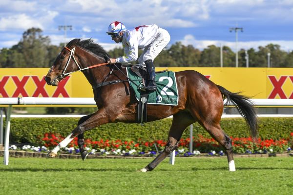 Ibaraki wins on debut