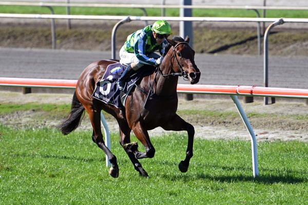 Iffshecan defying early assessment