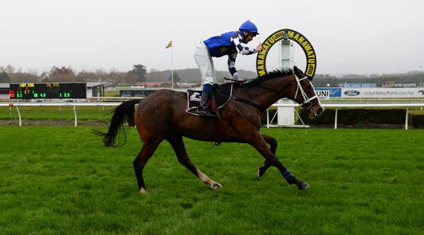 Dreams to reality for Lavelle