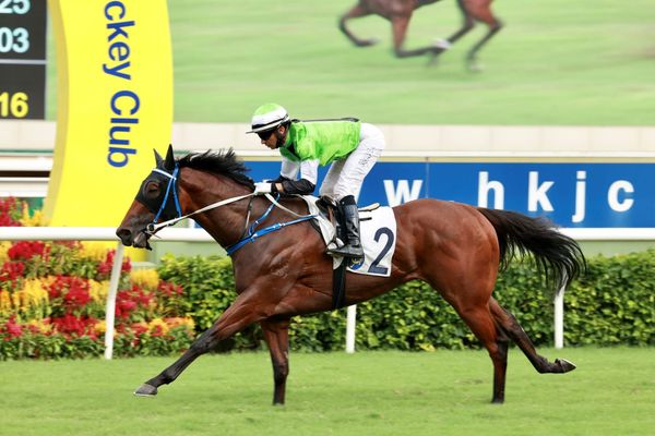 Moreira believes Bee can develop killer instinct