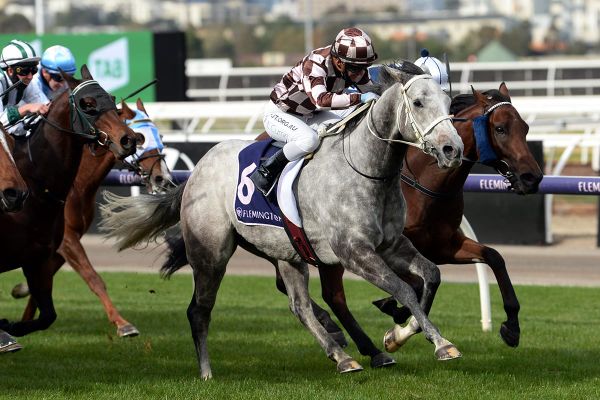 Mr Tipla scores at Flemington
